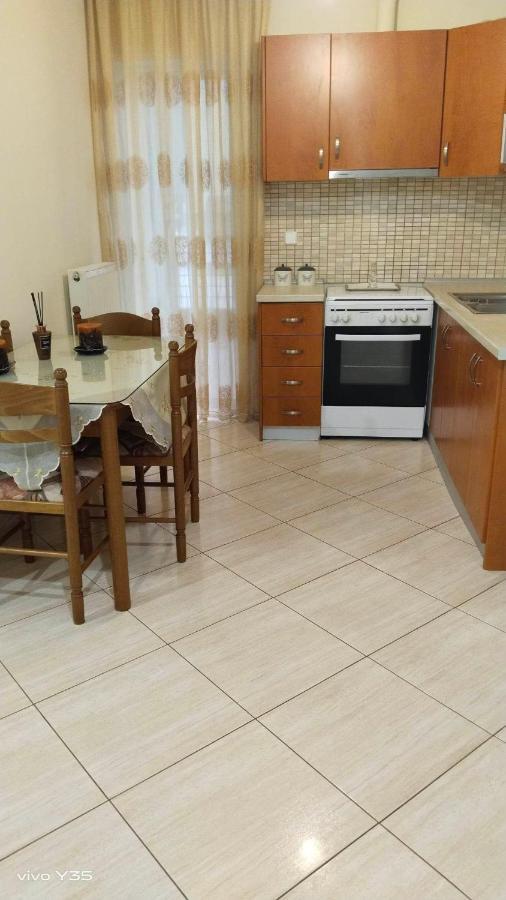 Ferienwohnung Ομορφο Διαμερισμα Στο Κεντρο Της Πολης Με Παρκιν Tríkala Exterior foto