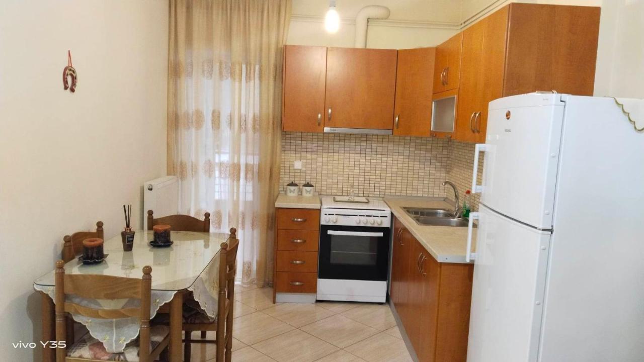 Ferienwohnung Ομορφο Διαμερισμα Στο Κεντρο Της Πολης Με Παρκιν Tríkala Exterior foto
